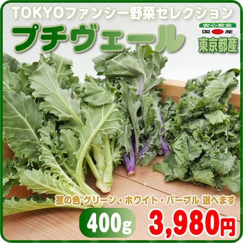 ｔｏｋｙｏファンシー野菜セレクション プチヴェール ４００ｇ 東京多摩産 Sicspace Net
