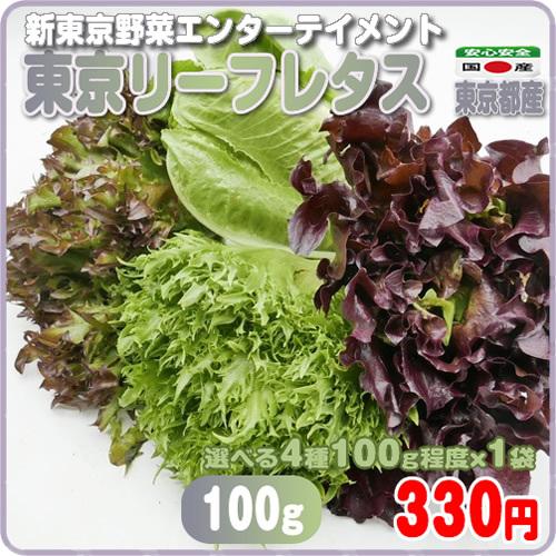 99円 全国一律送料無料 東京リーフレタス １００ｇ 新東京野菜 お好み品種で お洒落な食卓 東京都産