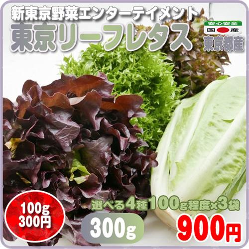 話題の行列 東京リーフレタス １００ｇx３袋 新東京野菜 お好きな品種で お洒落な食卓 東京都産