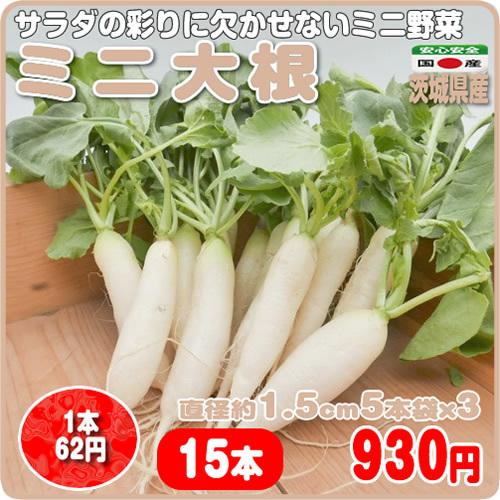 279円 着後レビューで 送料無料 ミニ大根 ５本ｘ３袋 使いやすさ抜群 １０ １２ｃｍサイズ 茨城県産