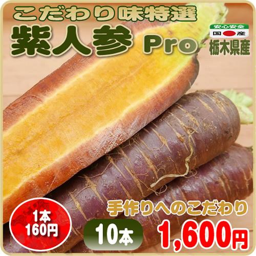 こだわり味特選 紫人参 ｐｒｏ １０本 美味しさだけを追及した手作りのこだわり 栃木県産 0bcc09 イーファーマーズ 通販 Yahoo ショッピング