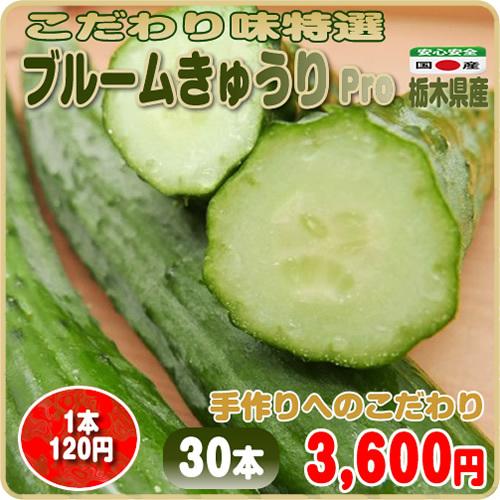 特価商品 こだわり味特選 ブルームきゅうり ｐｒｏ ３本ｘ１０袋 手づくりのこだわり 美味しさだけを追求した 栃木県産 Wantannas Go Id