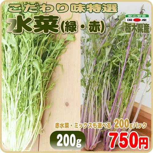 水菜 みずな ２００ｇ こだわり味特選 選べる色種 美味しさだけを追及した 栃木県産 22年のクリスマスの特別な衣装