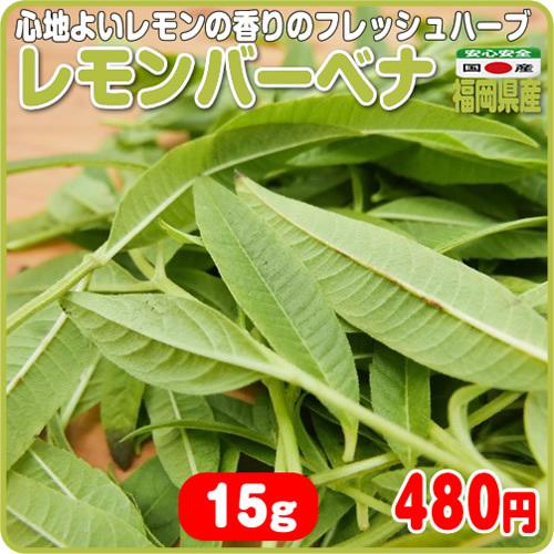 心地よいレモンの香りのフレッシュハーブ レモンバーベナ １５ｇ 福岡県産 0olb4001 イーファーマーズ 通販 Yahoo ショッピング