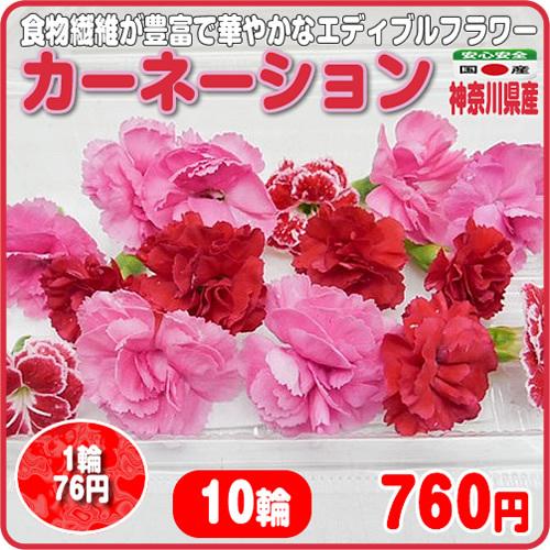 カーネーション １０輪 エディブルフラワー 母の日ギフトにも最適 神奈川県産 物品