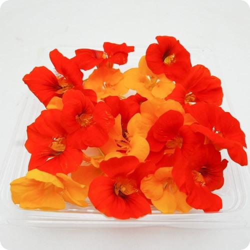 人気絶頂 ナスタチウムの花 １８輪x２パック 色鮮やかなハーブの花 クレソンのようなほんのり辛み 山梨県産 Aynaelda Com