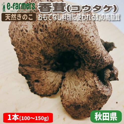 【送料込み】香茸約1キロ 岩手県産 香茸（生）1kg