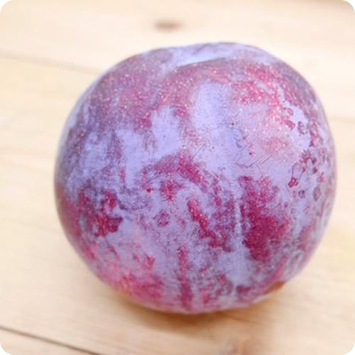 ジャパンブランドすもも 皮ごと食べれる 完熟太陽 ２ｋｇ程度 １０ １２玉 山梨県産 1ety1902 イーファーマーズ 通販 Yahoo ショッピング