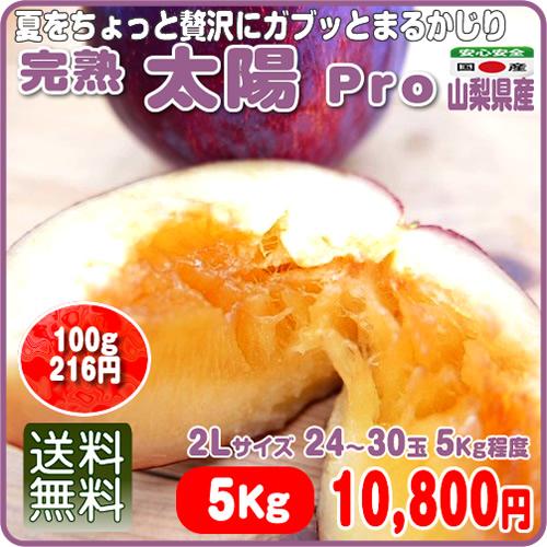 送料無料カード決済可能 皮ごと丸かじりで夏満喫の大玉極上プラム