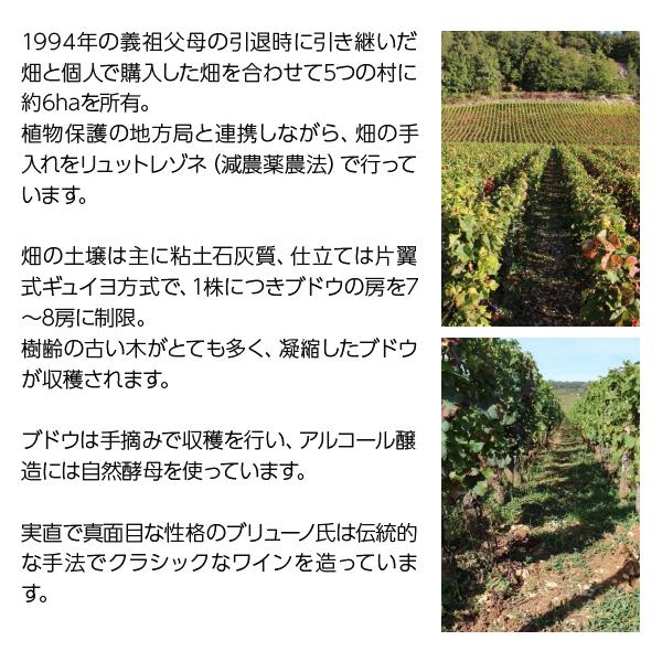 赤ワイン フランス ブリューノ デゾネイ ビセイ ヴォーヌ ロマネ ヴィエイユ ヴィーニュ 2020 750ml_2