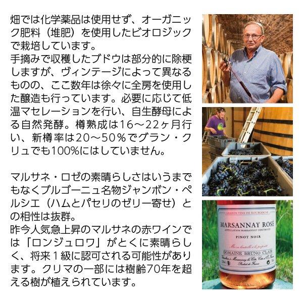 赤ワイン フランス ブルゴーニュ ドメーヌ ブリュノ クレール ジュヴレ シャンベルタン 2021 750ml_2