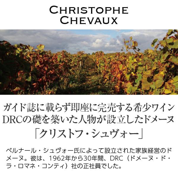 赤ワイン フランス ブルゴーニュ クリストフ シュヴォー コトー ブルギニョン ルージュ 2022 750ml |  | 01