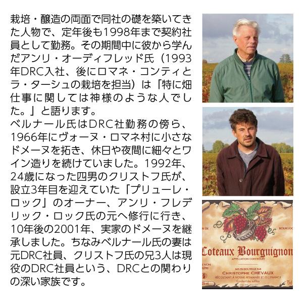 赤ワイン フランス ブルゴーニュ クリストフ シュヴォー コトー ブルギニョン ルージュ 2022 750ml |  | 02