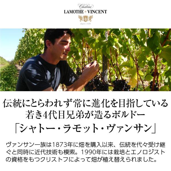 白ワイン フランス ボルドー シャトー ラモット ヴァンサン ブラン（白） 2021 750ml｜e-felicity｜02
