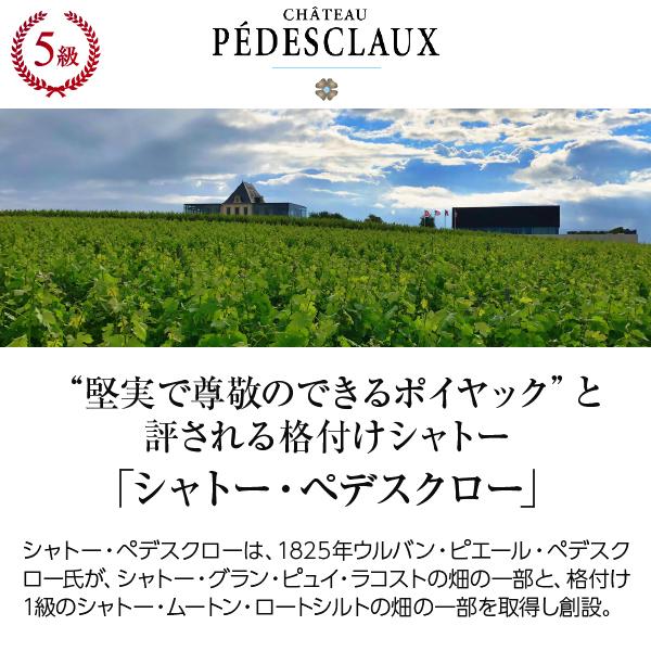 赤ワイン フランス ボルドー シャトー ペデスクロー 2017 750ml 格付け第5級｜e-felicity｜02