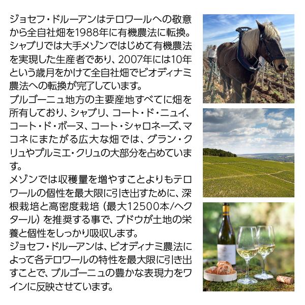 Joseph Drouhin（ジョゼフ・ドルーアン） 白ワイン フランス