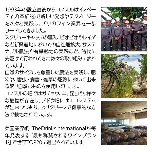赤ワイン チリ コノスル ピノノワール オーガニック 2022 750ml | オーガニック | 02