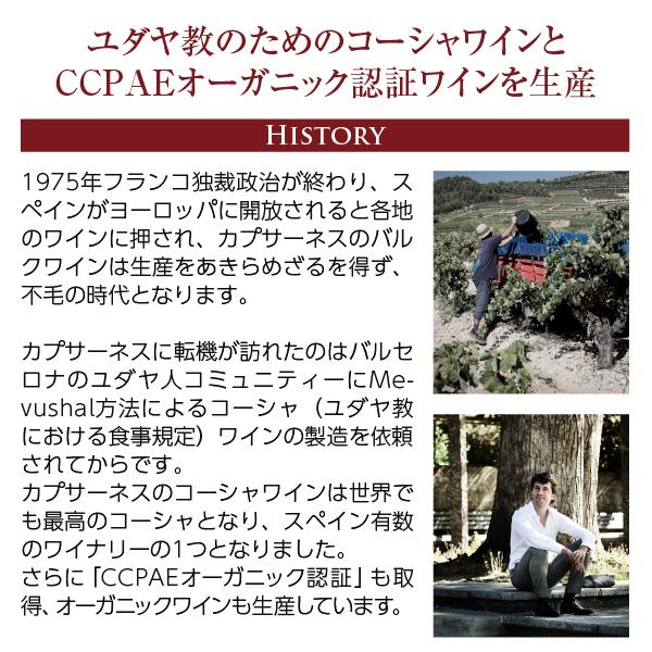 赤ワイン スペイン セラー カプサーネス マス ドニス オールド 赤ワイン スペイン セラー カプサーネス マス ドニス オールド