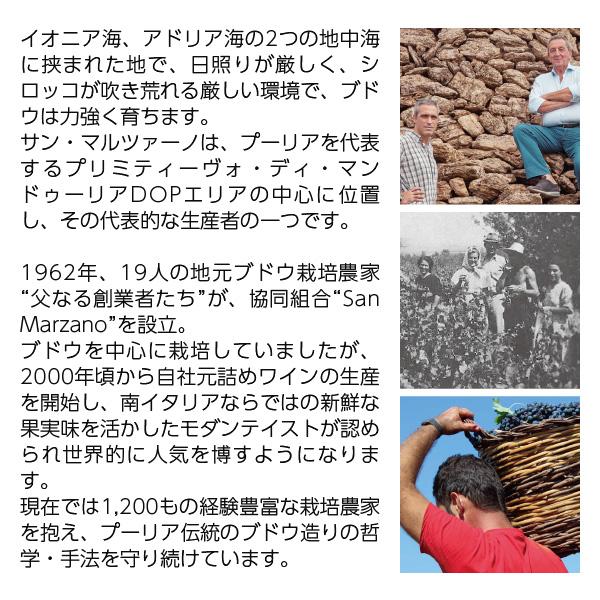 赤ワイン イタリア サン マルツァーノ コレッツィオーネ チンクアンタ +7 NV 750ml | SAN MARZANO | 02