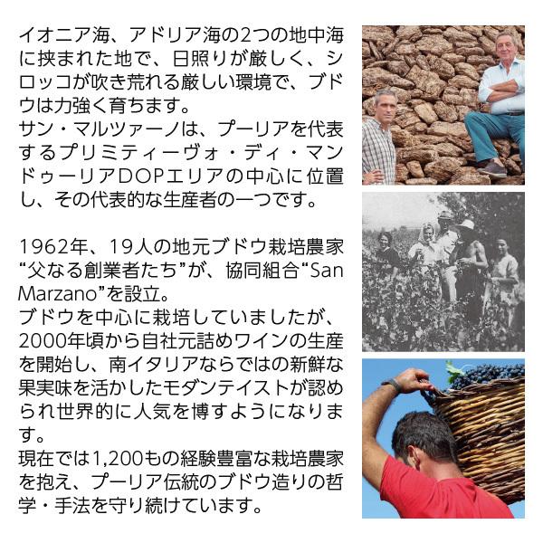 大注目 赤ワイン イタリア サン マルツァーノ イル プーモ プリミティーヴォ 750ml1 003円 Whitesforracialequity Org