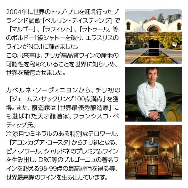 赤ワイン チリ ヴィーニャ エラスリス ヴィニエド チャドウィック 2012 750ml 