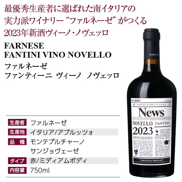 赤ワイン イタリア ファルネーゼ ファンティーニ ヴィーノ ノヴェッロ 2023 750ml 送料無料｜e-felicity｜04