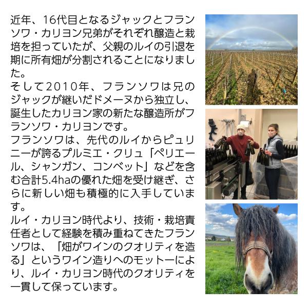 白ワイン フランス ブルゴーニュ フランソワ カリヨン ピュリニー モンラッシェ クロ デュ ヴュー シャトー 2020 750ml_2