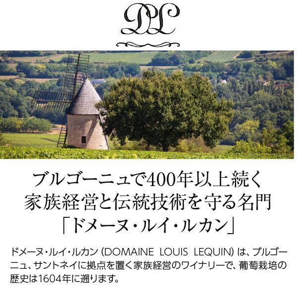白ワイン フランス ブルゴーニュ ドメーヌ ルイ ルカン シャサーニュ モンラッシェ プルミエ クリュ モルジョ ブラン 2020 750ml |  | 01