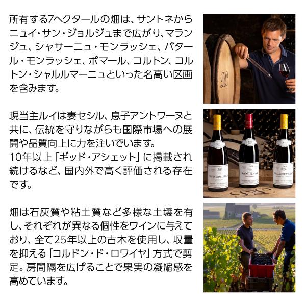 白ワイン フランス ブルゴーニュ ドメーヌ ルイ ルカン シャサーニュ モンラッシェ プルミエ クリュ モルジョ ブラン 2020 750ml |  | 02