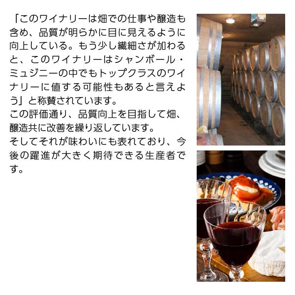赤ワイン フランス ブルゴーニュ アンリ フェレティグ シャンボル