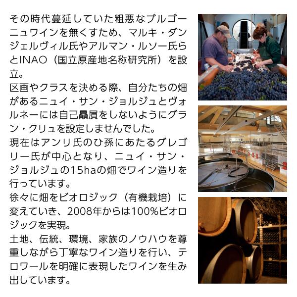 赤ワイン フランス メゾン アンリ グージュ ニュイ サン ジョルジュ 2021 750ml_2