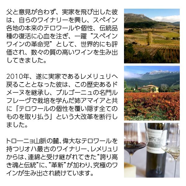 赤ワイン スペイン リンデス デ レメリュリ ヴィニェドス デ サン ヴィセンテ 2015 750ml|酒類の総合専門店 フェリシティー|02