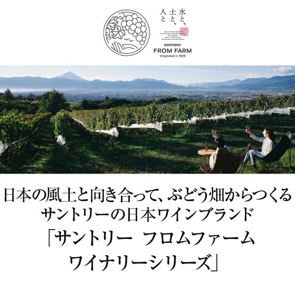 赤ワイン 国産 サントリー フロムファーム 塩尻 マスカット ベーリーA 2020 750ml 日本ワイン｜e-felicity｜02