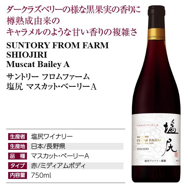 赤ワイン 国産 サントリー フロムファーム 塩尻 マスカット ベーリーA 2020 750ml 日本ワイン｜e-felicity｜04