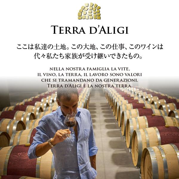 ｃ18　イタリア職人手作り品 TARPAC社 　PT 　栗材ダイニング５点セット FINE KAGU Yahoo!ショッピング店 - ダイニング｜Yahoo!ショッピング