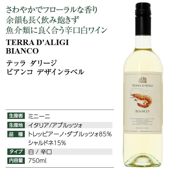 白ワイン イタリア テッラ ダリージ ビアンコ デザインラベル 750ml