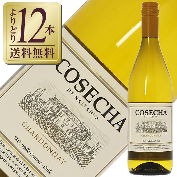 90％以上節約 白ワイン 絶妙なデザイン チリ コセチャ シャルドネ 旧タラパカ 2021 750ml