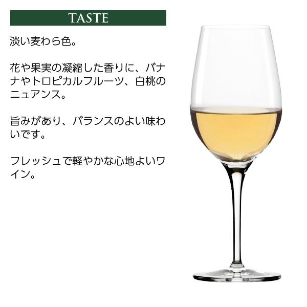 白ワイン イタリア ヴィッラ マティルデ ロッカレオーニ ファランギーナ カンパーニア 2023 750ml |  | 02