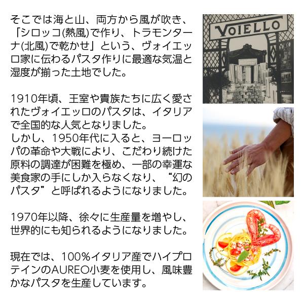 格安saleスタート パスタ ヴォイエッロ リガトーニ 500g 食品 包装不可 Luckyoldcar Com