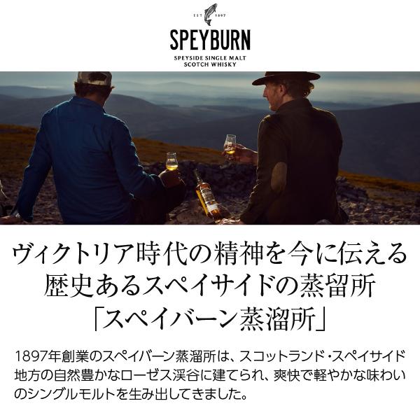 スペイバーン 15年 スペイサイド シングルモルト スコッチウイスキー