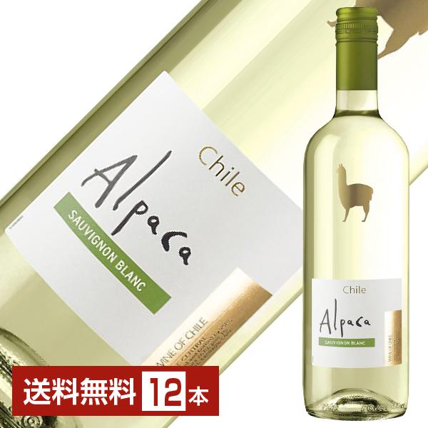 Alpaca 白ワイン チリ サンタ ヘレナ アルパカ ソーヴィニヨン ブラン