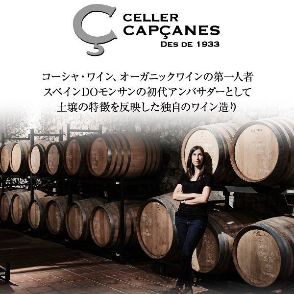 スパークリングワイン スペイン セラー カプサーネス カヴァ センセ カップ キュヴェ ブリュット レゼルバ 750ml |  | 01