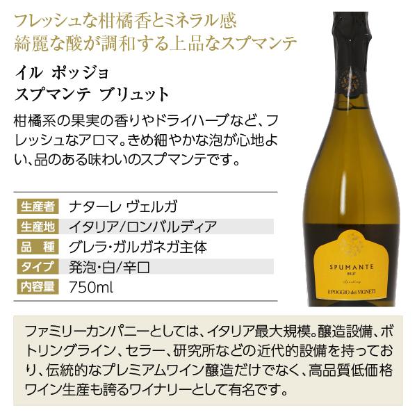 250円OFFクーポン 【21】スパークリング ワインセット フェリシティー