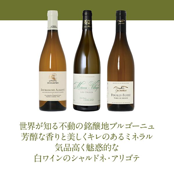 ブルゴーニュ白ワイン　3本セット ワイン ワインセット 白ワイン ブルゴーニュ白3本セット 第19弾