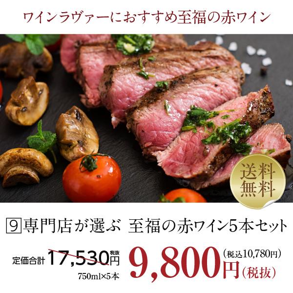 500円OFFクーポン 【9】赤ワインセット 至福の赤ワイン 赤ワイン 5本セット 第21弾 750ml×5 送料無料 包装不可 飲み比べ ワインセット |  | 01
