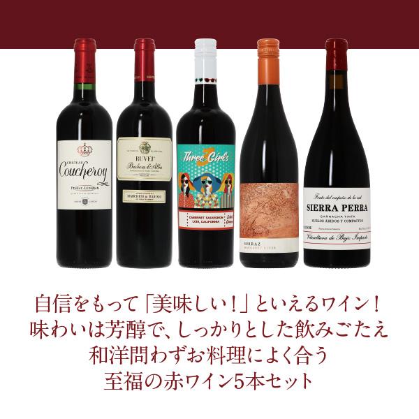 500円OFFクーポン 【9】赤ワインセット 至福の赤ワイン 赤ワイン 5本セット 第21弾 750ml×5 送料無料 包装不可 飲み比べ ワインセット |  | 02