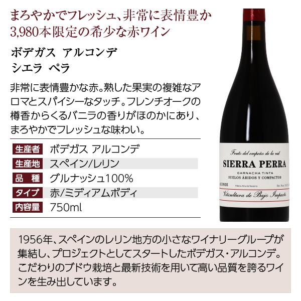500円OFFクーポン 【9】赤ワインセット 至福の赤ワイン 赤ワイン 5本セット 第21弾 750ml×5 送料無料 包装不可 飲み比べ ワインセット |  | 05