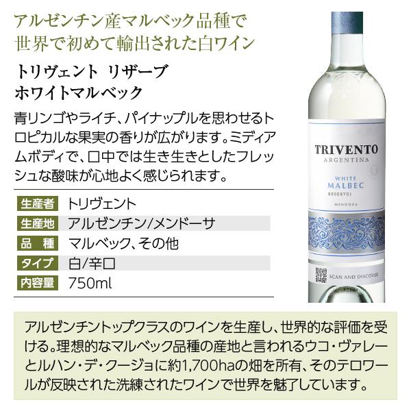 500円OFFクーポン 【17】白ワインセット 専門店が選ぶ 至福の白ワイン