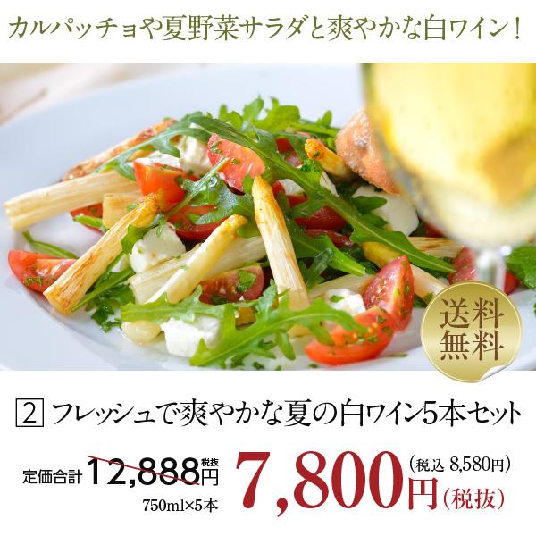 ギフ 包装 2 白ワインセット フレッシュで爽やかな夏の白ワイン5本セット 第1弾 750ml 5 送料無料 包装不可 飲み比べ ワインセット8 580円 Whitesforracialequity Org