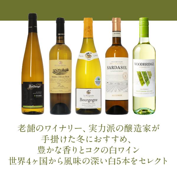 LEROY 2021 白ワイン 750ml 2本セット LEROY ワイン 2021年産 750ml 2本セット - メルカリ